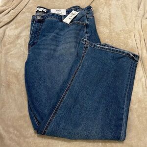 NWT- And Now This- 22W the High Cuff Jean